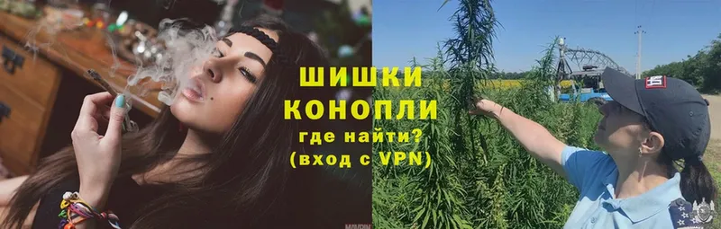 МАРИХУАНА конопля  наркошоп  Сортавала 